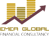 EMEA Financial Consultancy 